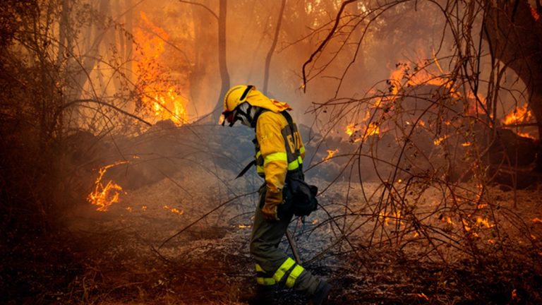 España arde: 3 claves que explican la ola de incendios que afecta a todo el país