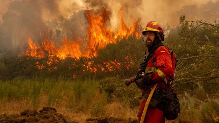Las hectáreas quemadas por incendios en España en 2026 superan 207.000: cuatro veces la media
