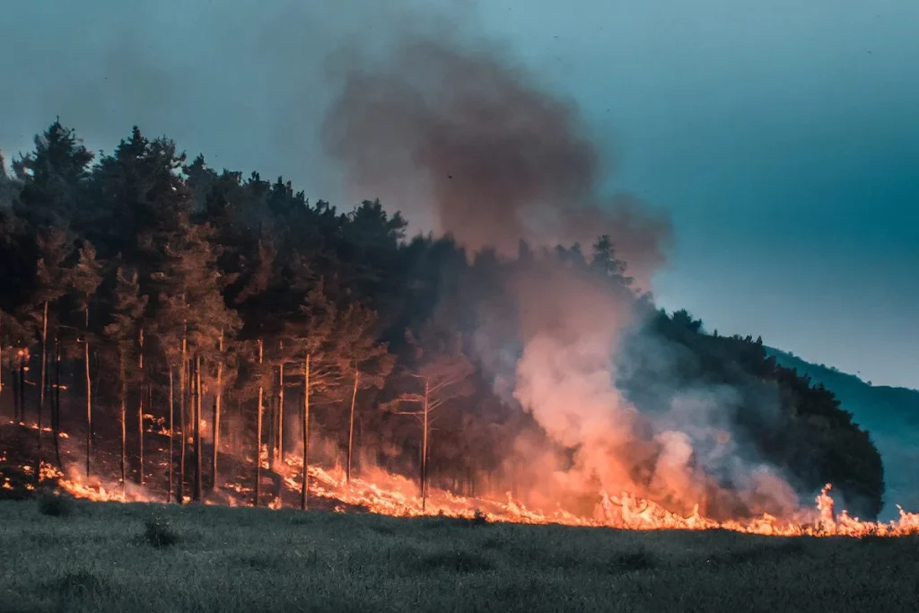 ¿QUÉ SON LOS MEGAINCENDIOS DE SEXTA GENERACIÓN?