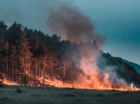 ¿QUÉ SON LOS MEGAINCENDIOS DE SEXTA GENERACIÓN? ¿QUÉ SON LOS MEGAINCENDIOS DE SEXTA GENERACIÓN?