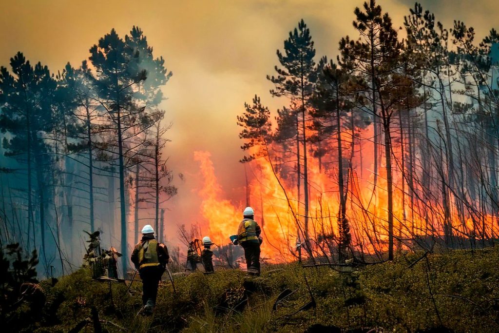 El coste de recuperar lo arrasado por el fuego: "Los bosques tardan décadas" Fuente: Sxenick