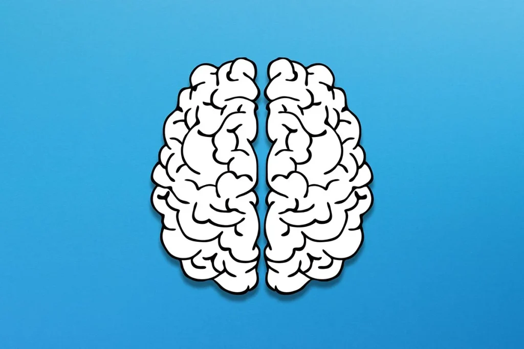 CONTINUARÁN LAS INVESTIGACIONES SOBRE LA COEVOLUCIÓN ENTRE MANO Y CEREBRO