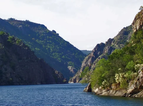 Los viticultores de la Ribeira Sacra lo confirman: Los viticultores de la Ribeira Sacra lo confirman: