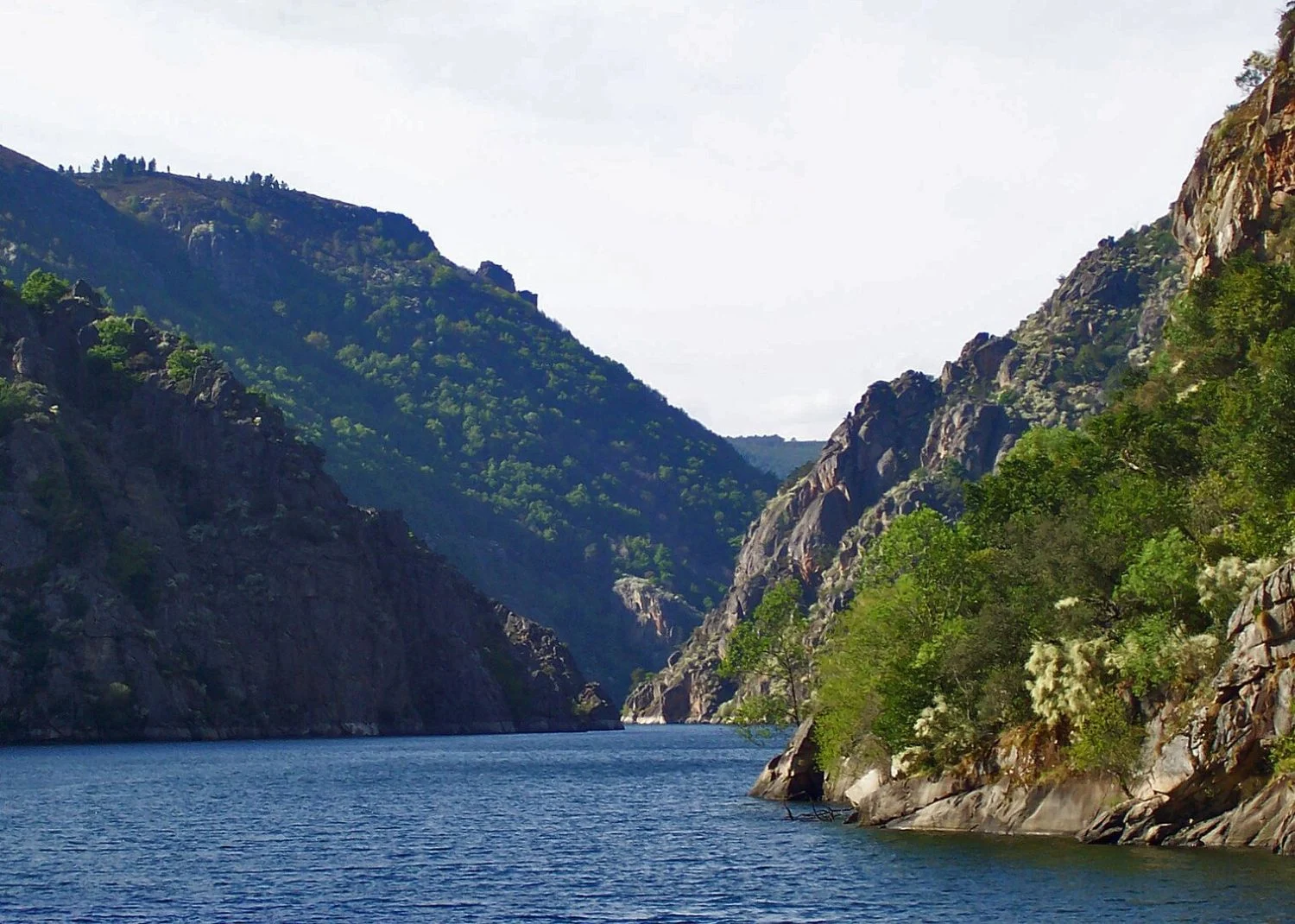 Los viticultores de la Ribeira Sacra lo confirman: Los viticultores de la Ribeira Sacra lo confirman:
