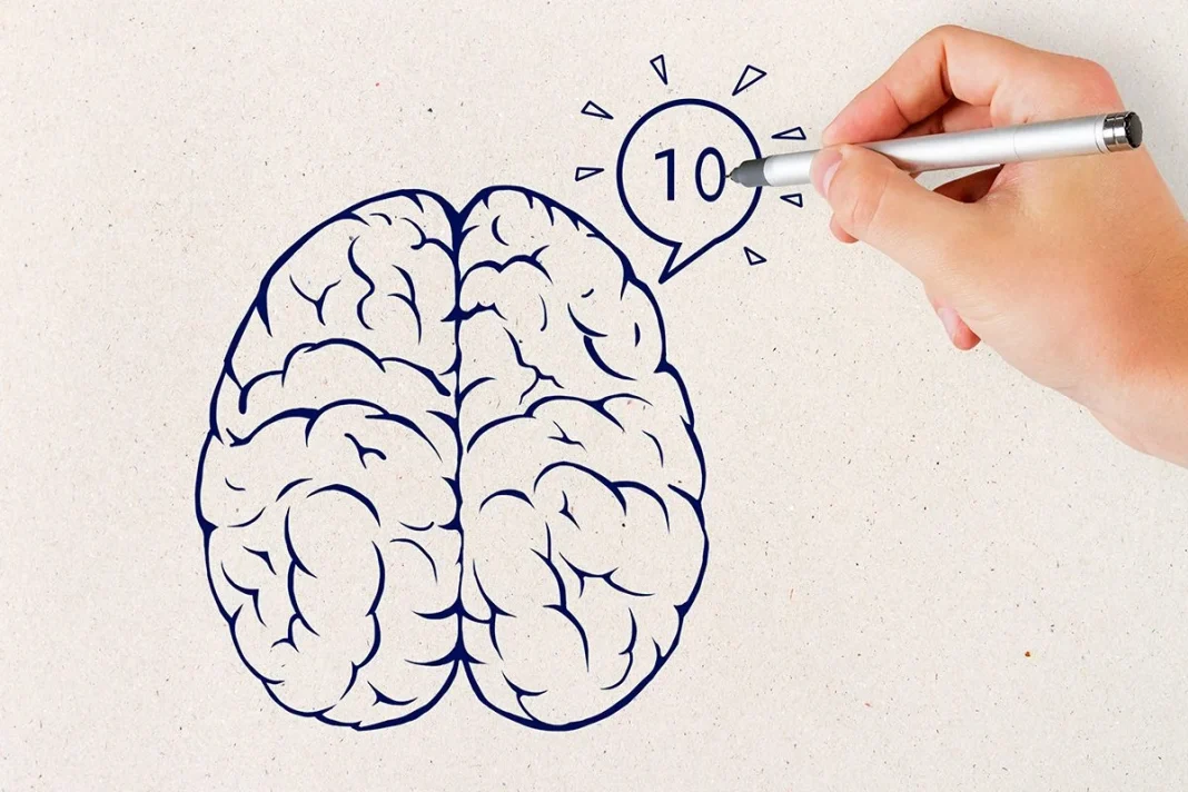 EVOLUCIÓN DE LA DESTREZA MANUAL Y EL CEREBRO