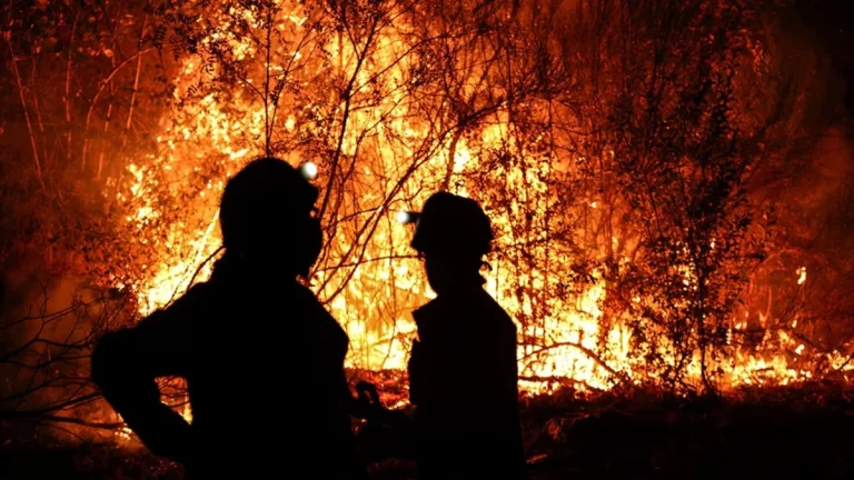 El coste de recuperar lo arrasado por el fuego: 