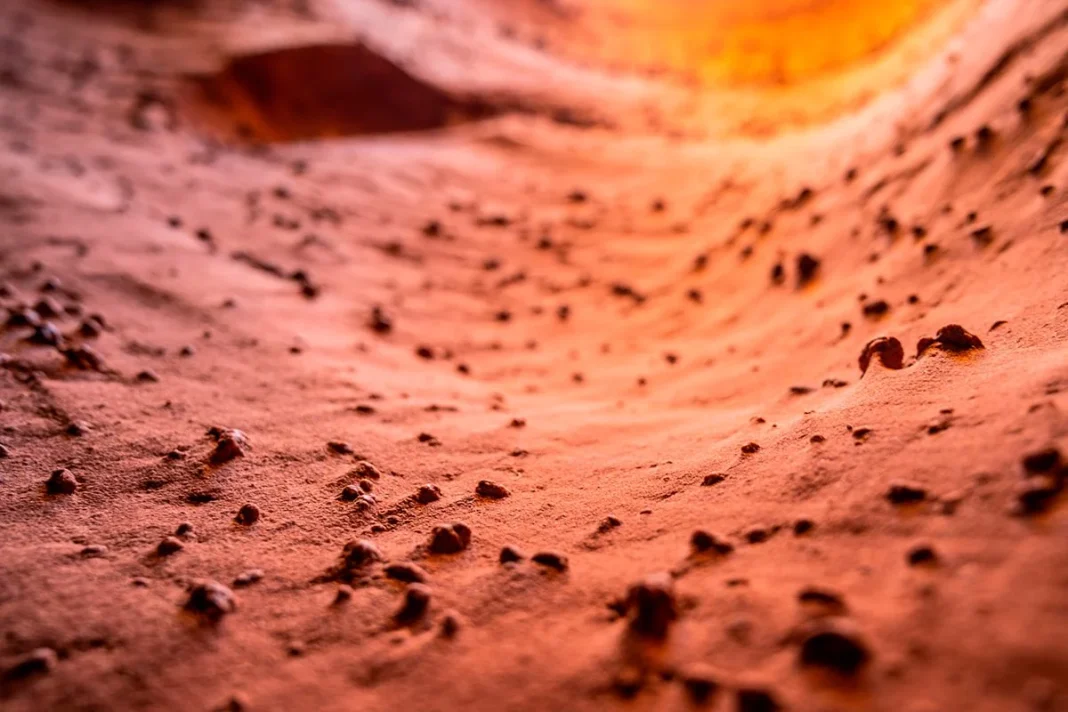 'FIRMAS BIOLÓGICAS' EN MARTE