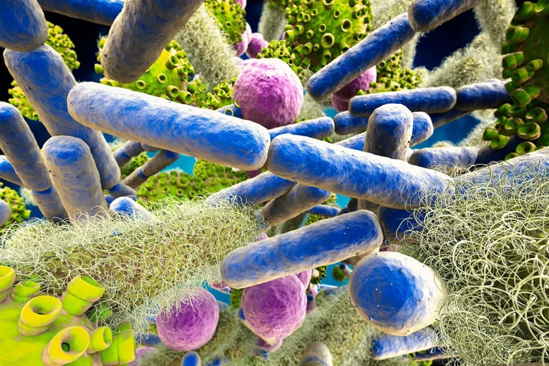 LA BACTERIA QUE PUEDE TERRAFORMAR MARTE