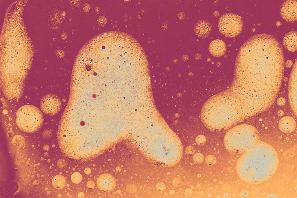 LA CIANOBACTERIA CLAVE PARA LA VIDA EN OTROS MUNDOS