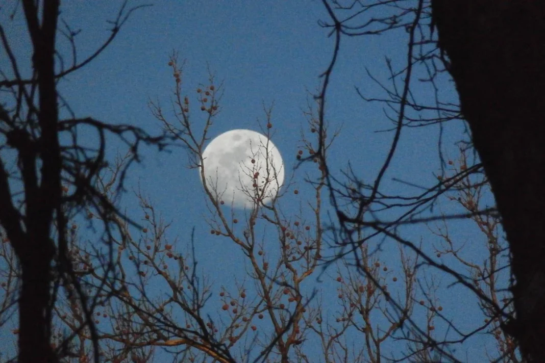 LA LUNA Y LOS COMPORTAMIENTOS DEL SER HUMANO