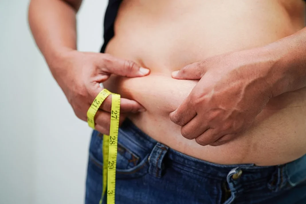 LA PROTEÍNA QUE PUEDE REVOLUCIONAR EL TRATAMIENTO DE LA OBESIDAD