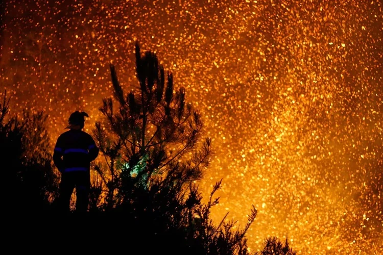 El coste de recuperar lo arrasado por el fuego: "Los bosques tardan décadas" Fuente: Sxenick