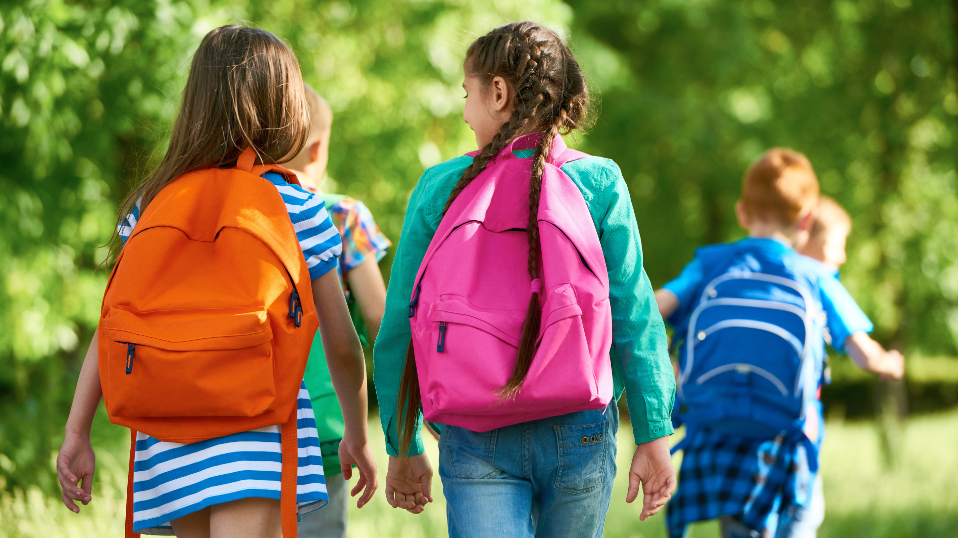 Ms de 500 euros en la vuelta al cole consejos para garantizar la proteccin de nuestras compras