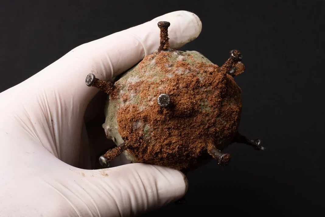 PRUEBAS CON ESTA CIANOBACTERIA