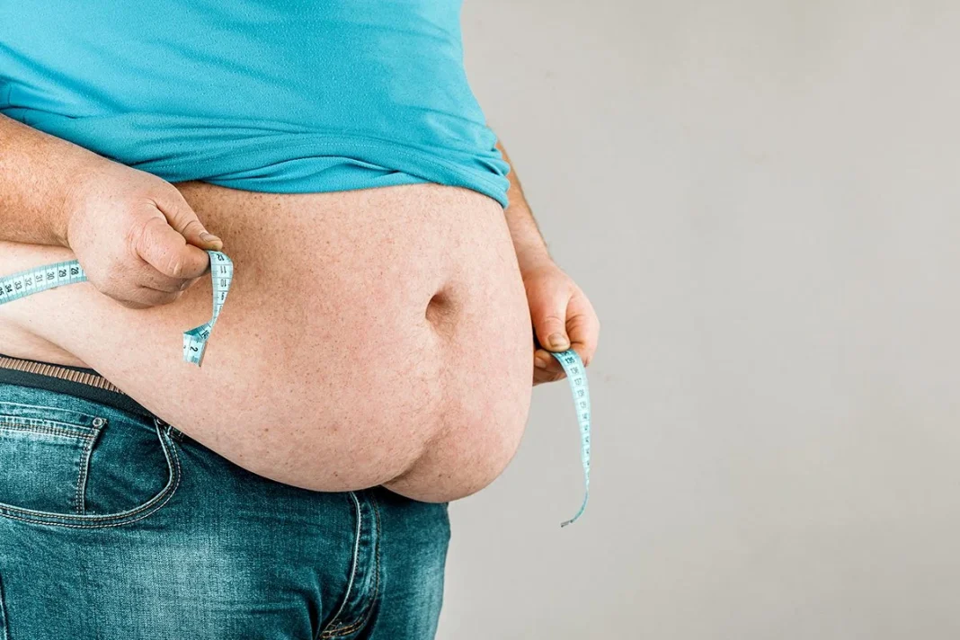 PRUEBAS CON RATONES PARA PROBAR SU EFICACIA CONTRA LA OBESIDAD