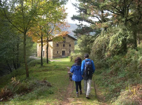 El bosque de 'El Señor de los Anillos' está en el País Vasco, y la niebla de octubre lo convierte en el lugar más mágico de España El bosque de 'El Señor de los Anillos' está en el País Vasco, y la niebla de octubre lo convierte en el lugar más mágico de España