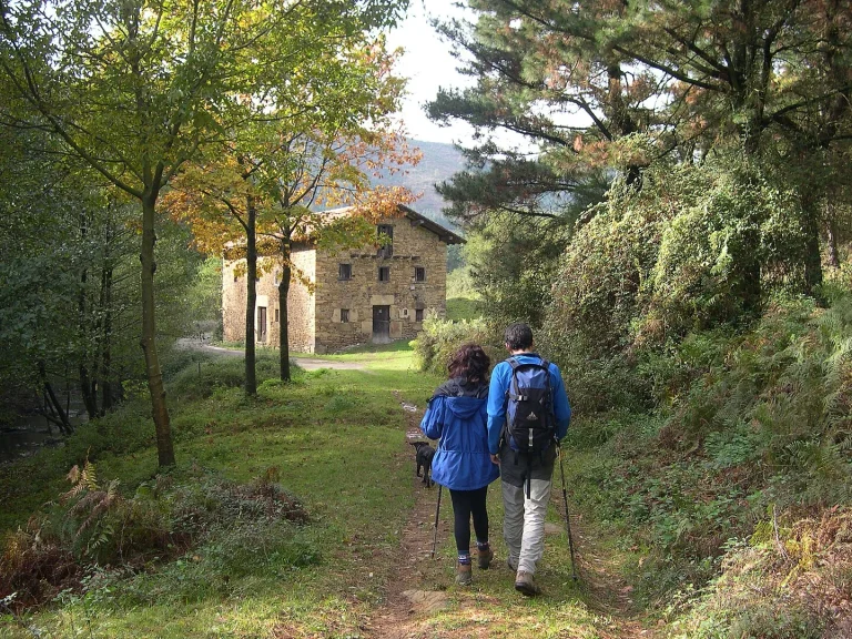 El bosque de 'El Señor de los Anillos' está en el País Vasco, y la niebla de octubre lo convierte en el lugar más mágico de España