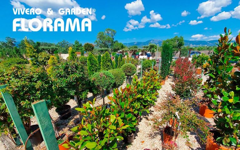 VIVEROS FLORAMA: excelencia y variedad al servicio del jardín