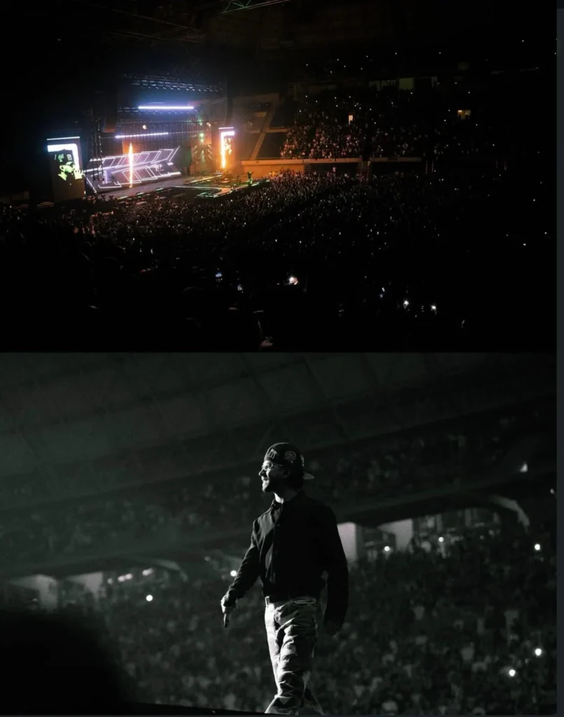 Mora en Barcelona. Fuente: Victor Sanchez Rincones