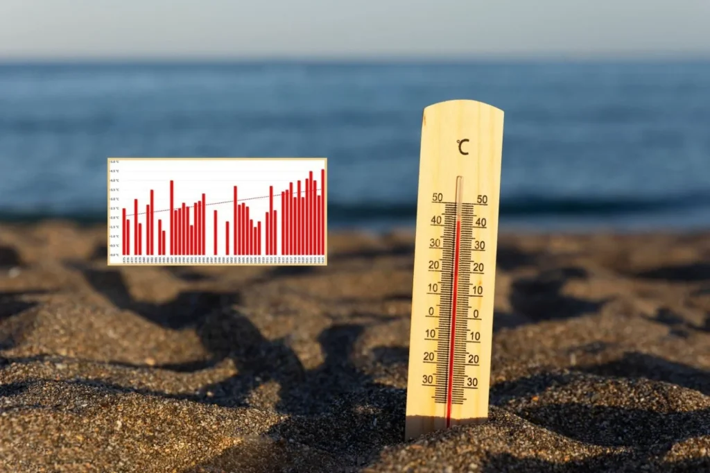 "Nos ha pillado el toro y le va a costar la vida a los vulnerables": las irresponsabilidades con la ola de calor desatan importantes riesgos de salud pública 3 Un termómetro y un gráfico de la AEMET de la ola de calor de agosto este verano de 2025