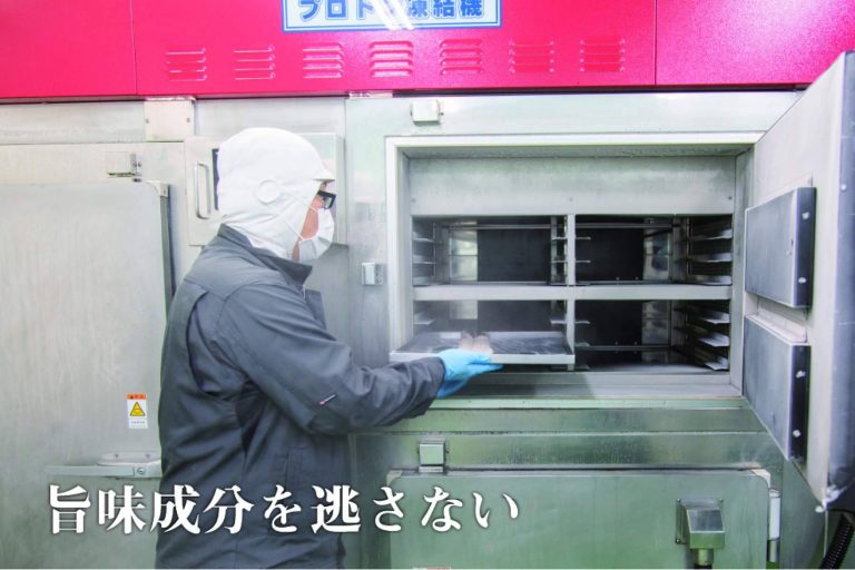 Japón lidera la revolución del frío; PROTON redefine la congelación en alimentación y biotecnología
