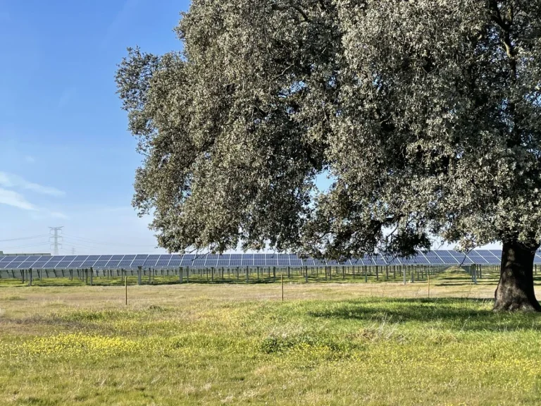 La energía solar alcanza un nuevo récord de reducción de emisiones en España