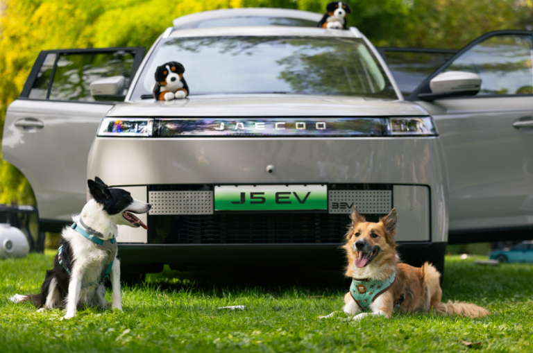 JAECOO presenta cinco consejos para disfrutar con perro en cada viaje