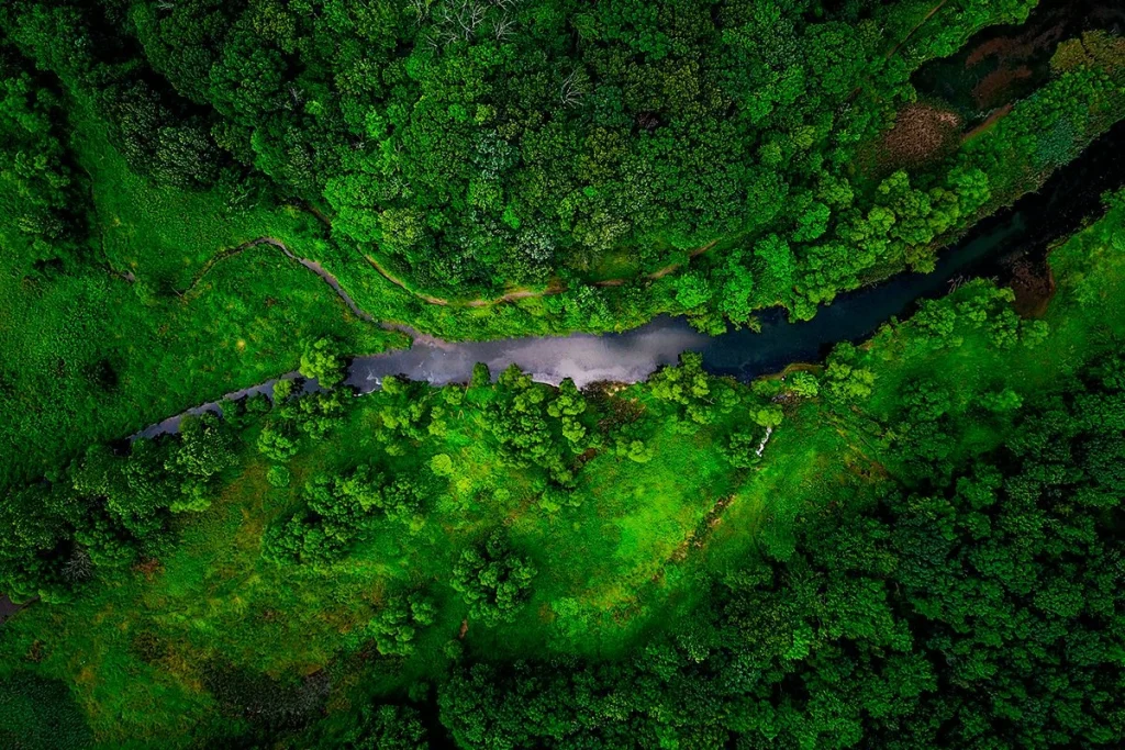 El estudio de la biodiversidad aporta nuevas pistas sobre el origen de las especies