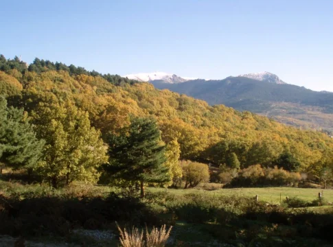 3 rutas de otoño perfectas a menos de 100 km de Madrid: estos colores ocres, dorados, rojos compiten con la Toscana y casi nadie lo sabe porque no llegan a redes sociales 3 rutas de otoño perfectas a menos de 100 km de Madrid: estos colores ocres, dorados, rojos compiten con la Toscana y casi nadie lo sabe porque no llegan a redes sociales