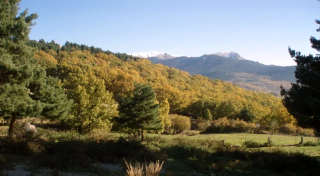 3 rutas de otoño perfectas a menos de 100 km de Madrid: estos colores ocres, dorados, rojos compiten con la Toscana y casi nadie lo sabe porque no llegan a redes sociales