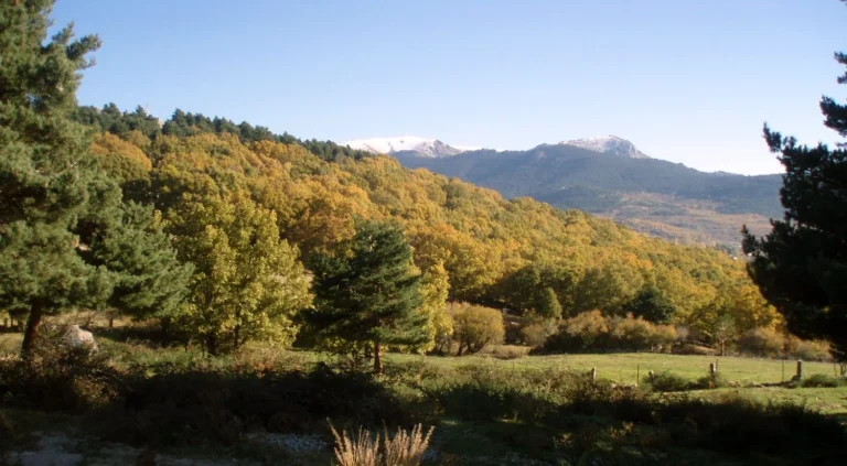 3 rutas de otoño perfectas a menos de 100 km de Madrid: estos colores ocres, dorados, rojos compiten con la Toscana y casi nadie lo sabe porque no llegan a redes sociales