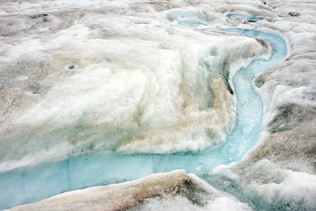 Resurgimiento biológico: descubren un ser vivo congelado durante 40.000 años que ahora es una amenaza global 2 Hallazgo biológico sorprendente_ un organismo antiguo revivido genera inquietud mundial