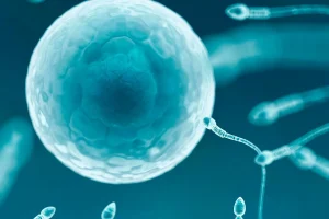 La ciencia redefine la fertilidad con técnicas para producir óvulos a partir de células dérmicas