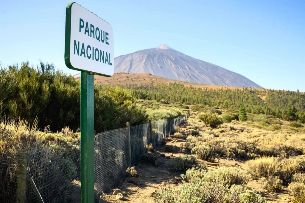 Una ecotasa para cuidar el corazón de Tenerife