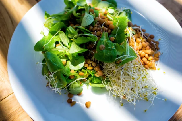 El 'pesticida' natural que echas a la ensalada creyendo que es sano: "Es un nido de bacterias", alerta la nutricionista Clara Puig (41)