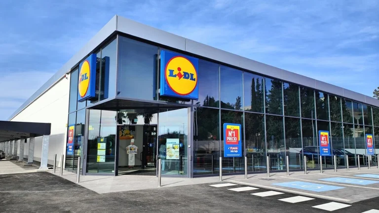 Ni Alcampo ni Aldi:  Lidl tiene el electrodoméstico perfecto para cocinas pequeñas, destronando a la freidora de aire y por menos de 50 euros  