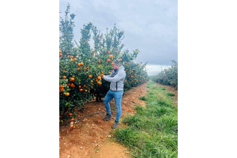 David Romero; el joven que revoluciona el sector citrícola desde Valencia