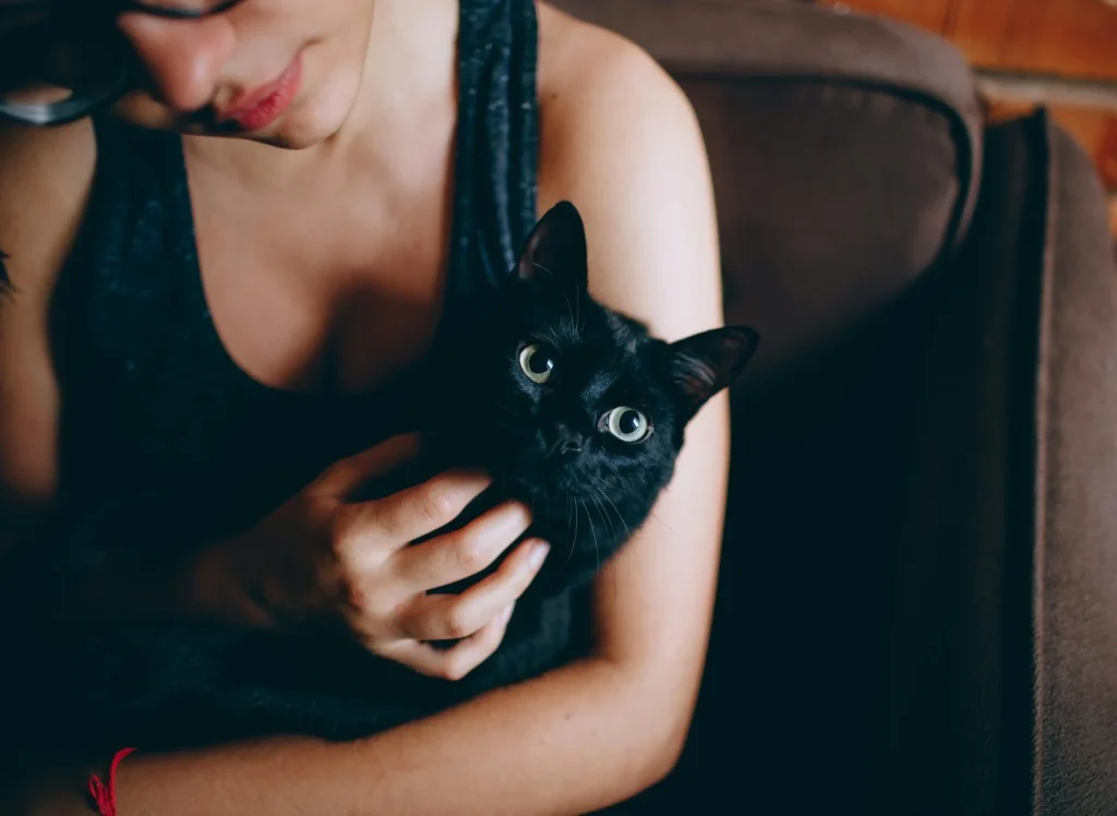 La macabra razón por la que en España se prohíbe la adopción de gatos negros en Halloween 1 El problema con los rituales en Halloween