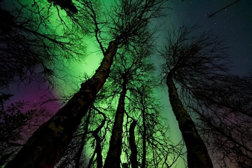 Este es el mapa completo de España para disfrutar de las auroras boreales: hay una ciudad del norte y ubicaciones en Cádiz y Extremadura donde se verá perfecto 1 ¿Dónde puedes ver las auroras boreales?