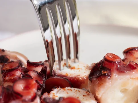 pulpo freepik 888
