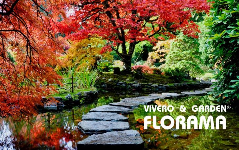 El otoño también florece: VIVEROS FLORAMA reinventa los jardines fuera de temporada