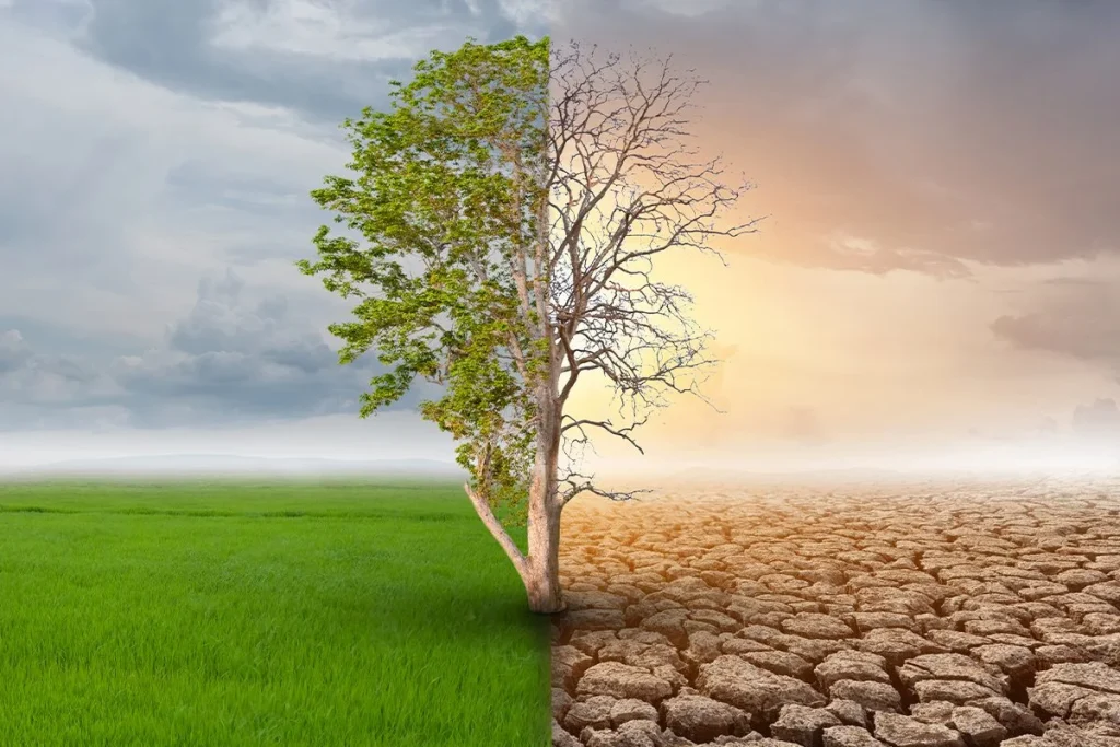 El cambio de opinión de Bill Gates marca un antes y un después en el debate contra el cambio climático