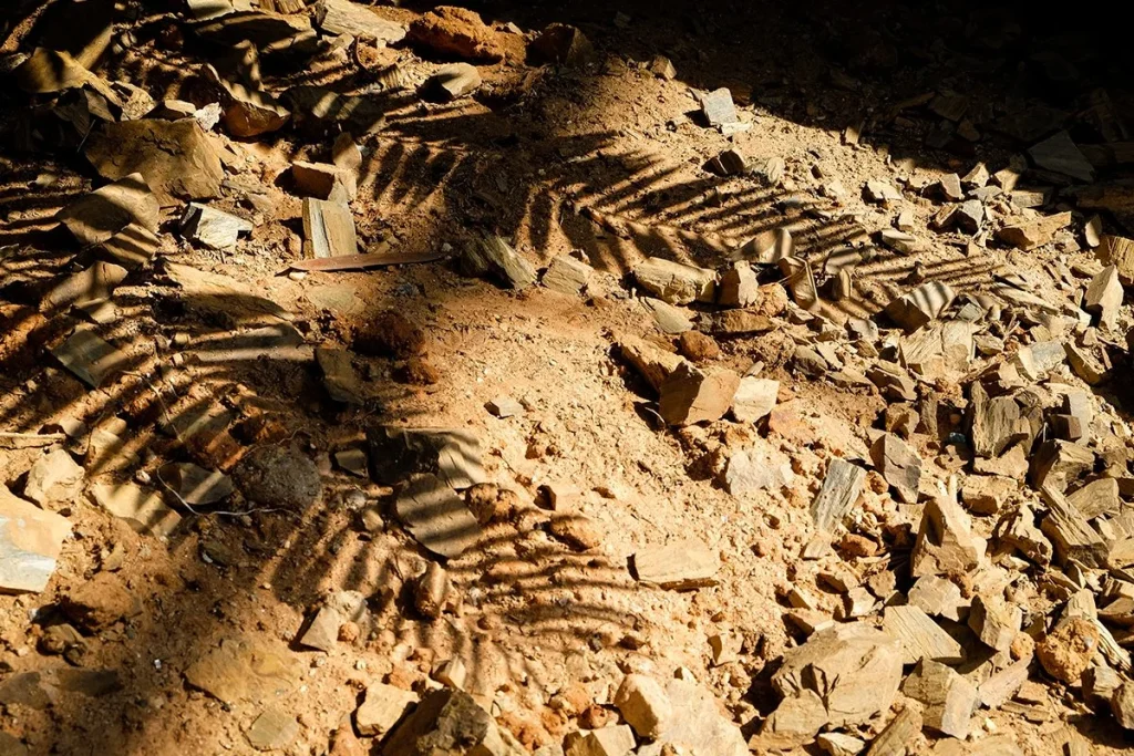 La Historia se reescribe tras el descubrimiento de una civilización que altera las fechas conocidas