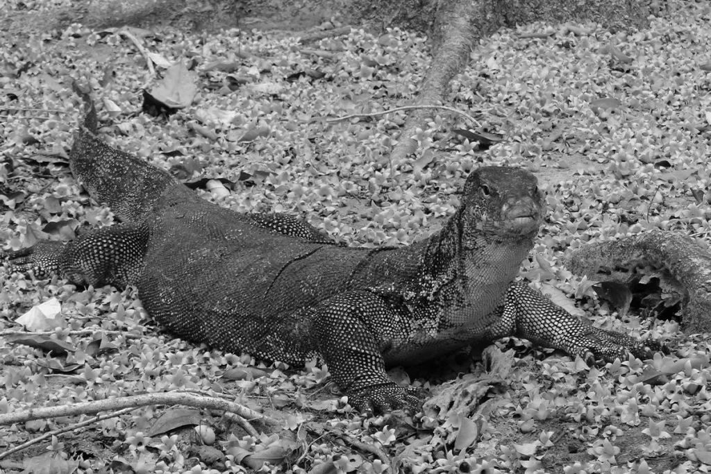 La biotecnología facilita experimentos de resurrección de especies desaparecidas mediante ADN recuperado