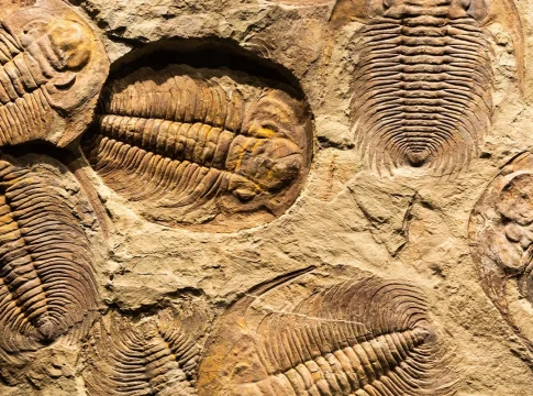 Nuevos descubrimientos arqueológicos revelan una civilización que modifica lo que se sabía de la Historia Nuevos descubrimientos arqueológicos revelan una civilización que modifica lo que se sabía de la Historia