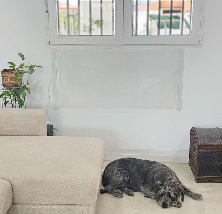 Lanzan un radiador ‘made in Murcia’ que ahorra un 70% en electricidad