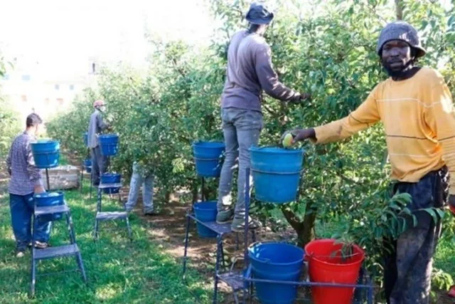 Sin inmigrantes, España no podría sostener ni pensiones ni empleo: el desafío de la próxima década