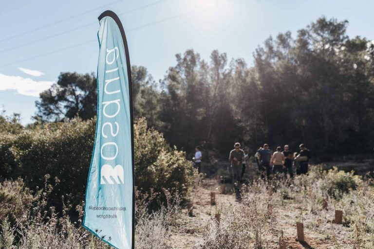 Convertir la sostenibilidad en ventaja competitiva; Bosquia ayuda a las empresas a compensar su huella