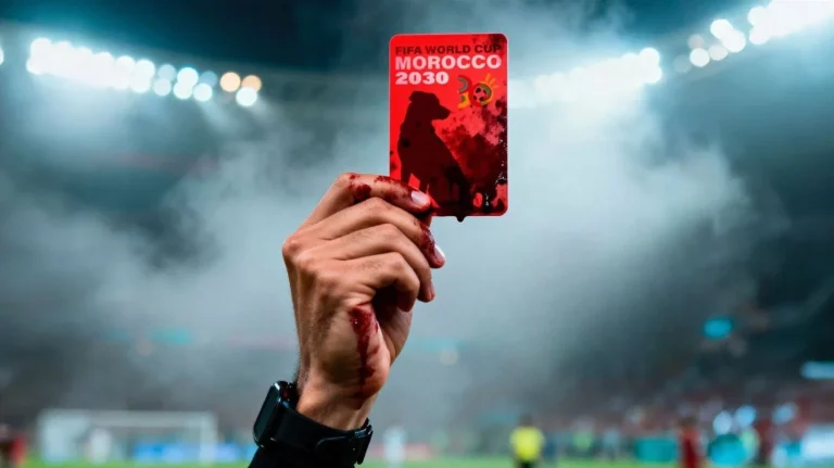 Denuncian las matanzas de perros en Marruecos por el Mundial 2030 que ponen a prueba a la RFEF y la FIFA