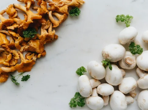 Las setas que desafían al tiempo y la enfermedad: Previenen el cáncer, el alzhéimer y combaten la vejez | Fuente: Pexels Las setas que desafían al tiempo y la enfermedad: Previenen el cáncer, el alzhéimer y combaten la vejez